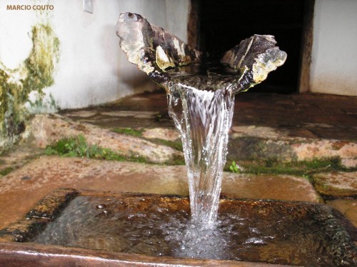 BicaMárcioCouto Foto: Márcio Couto