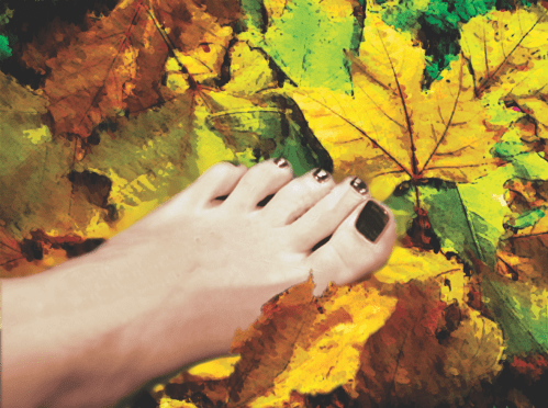 Pés de outono, ilustração de Cleto de Assis