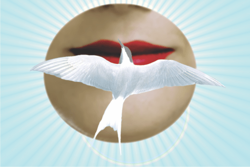 Silencio, por Cleto de Assis