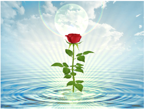 Dia Mundial da Água